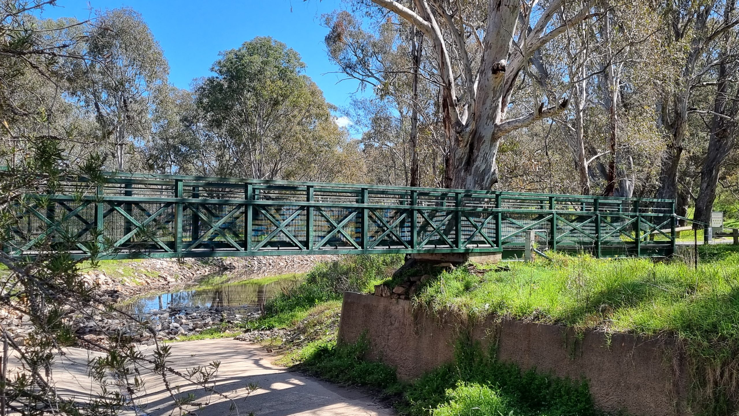 Photo of a bridge spanning a creek with Australian native gum trees