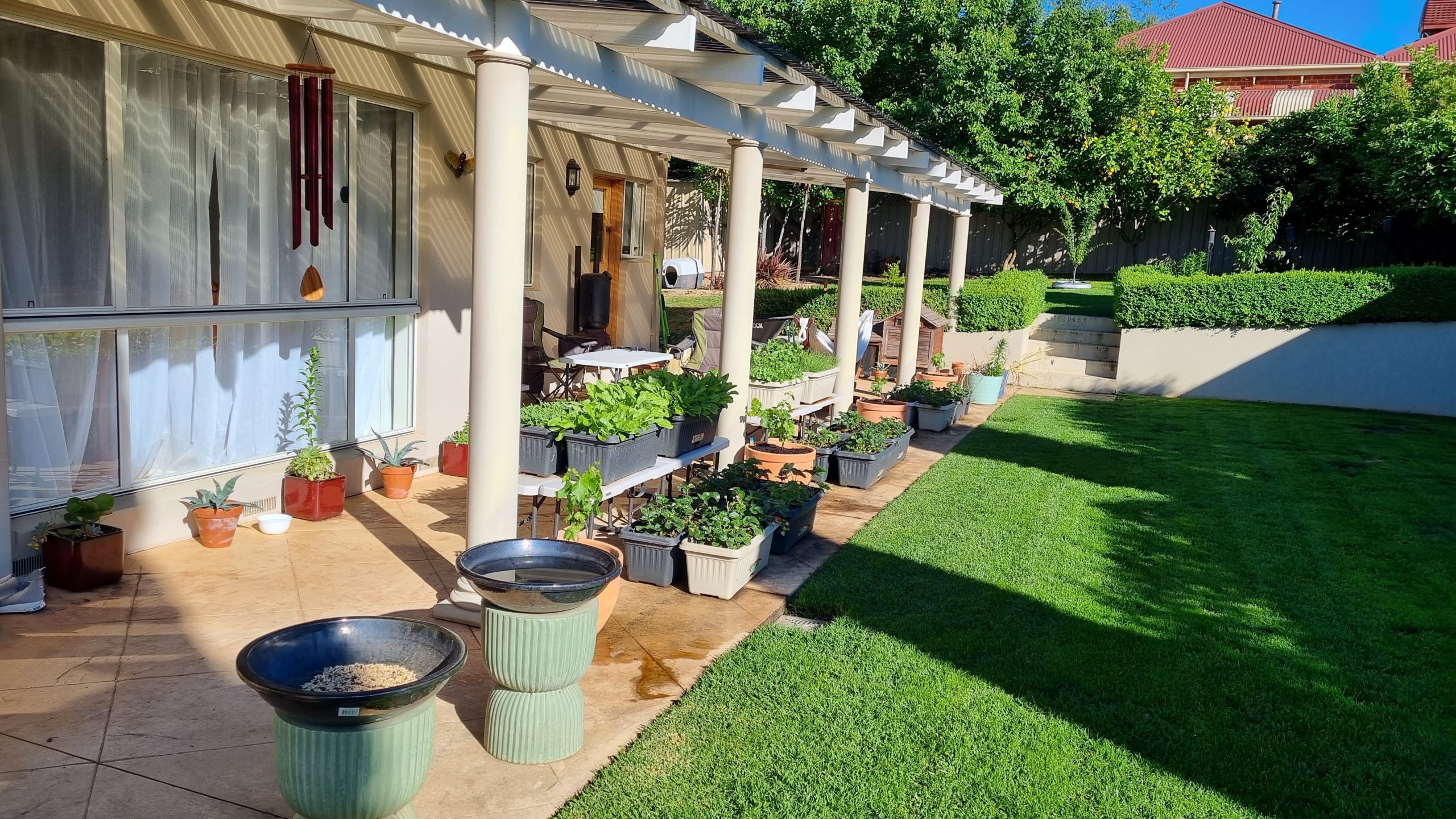 Photo of green grass and verandah with vegetables growing in planter boxes