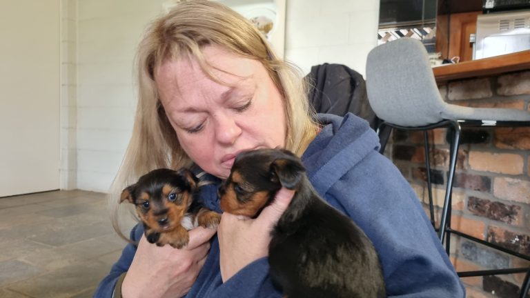 Jen Ward meeting her puppies Maise and Merle for the first time