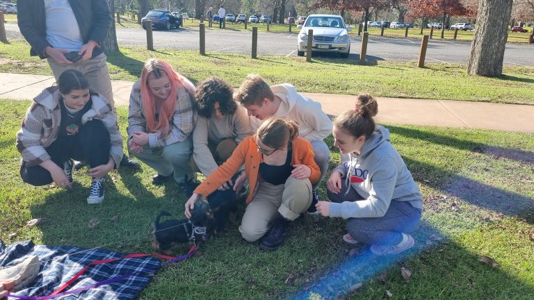 Photo of a group of adolescent kids greeting puppies in the park during a picnic